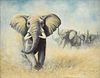 KIM BROOKS (British b. 1936) A PAINTING, "Charging Elephant," SEPTEMBER 1974,