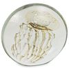 Eickholt Art Glass Jellyfish Paperweight