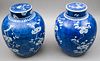 Pair of Larger Japanese Blue & White Covered Jars