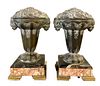 Pair of Urns of Marble Bases