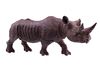 South African Leadwood Black Rhinoceros