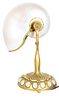 Tiffany NY Gilt Bronze Nautilus Desk Lamp