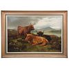 WRIGHT BARKER (ENGLAND, 1864-1941) GANADO ESCOCÉS Signed Barker 1894 Oil on canvas Conservation details 40.1 x 61" (102 x 155 cm)