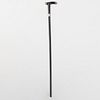 English Silver-Mounted Ebonized Walking Stick Inset with Coin