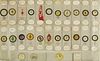 A collection of 112 microscope slides,