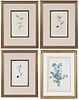 Four Botanical Prints, One Pr‚vost