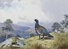 John Cyril Harrison (1898–1985) — Black Cock; Eagle in Flight; Lesser Bustards; Secretary Birds at Zimbabwe Ruins