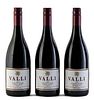 Three Valli bottles, vintage 2005.
Gibbston Wineyard.
Category: red wine Pinot Noir. Gibbston, Central Otago (New Zealand).