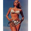 Raquel Welch Photograph, Signed