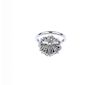 (540651-1-A) A diamond cluster ring. The brilliant-cut diamond, within a marquise and brilliant-cut