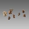 Lot of 8 Ancient Greek Terracotta head fragments c.5th century BC. 