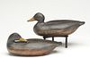 Very rare pair of 1/2 size black ducks, Gus Wilson, South Portland, Maine, 1st quarter 20th century.