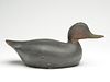 Oversize black duck, George Boyd, Seabrook, New Hampshire.