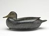 Black duck, William Quinn, Yardley, Pennsylvania, 2nd quarter 20th century.