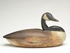Very rare hollow carved Canada goose from the Gray rig, Philadelphia, Pennysvalnia.