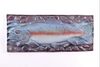 Bronze Rainbow Trout Cast Painted Wall Plaque