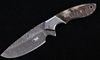 M.T. Knives of Bozeman Rams Horn Damascus Knife