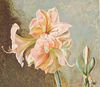 Henriette (Hurd) Wyeth, Pink Amaryllis Litho