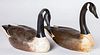 Two contemporary carved & painted Canada Geese