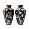 Pair of Chinese Cloissone Vase