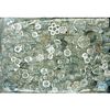 A LARGE BAG LOT OF CLEAR GLASS BUTTONS