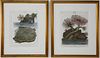Two Hand Colored Lithographs of Corals, 19th Century