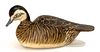 Ruddy Duck Hen by Grayson Chesser