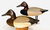 Canvasback Pair by Roswell Bliss, CT