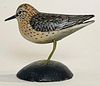 Miniature Least Sandpiper by Crowell