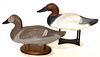 Pair of canvasback decoys by Harry Jobes