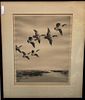 Color Lithograph Roland Clark- Canada Geese