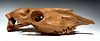 Extremely Rare Siberian Pleistocene Horse Skull