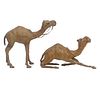 Camel Figures