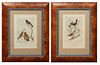 John James Audubon (1785-1851, Haitian/American), Two Octavo Prints Consisting of, "Black Headed Long Grosbeak," No. 42, Plate 206, and "Towhe Ground 