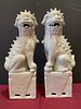 Chinese Porcelain Blanc De Chine Foo Dogs