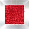 Red Silk Roses in Aluminum Frame