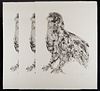 Grp: 3 Misch Kohn Lithographs "Large Bird"