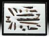 20 Pre-Contact Inuit Bone, Wood, & Walrus Ivory Tools
