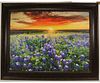 FRAMED BLUEBONNETS AND SUNSET GICLEE