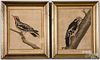 Two Francois Nicholas Martinet bird engravings