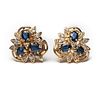 Earrings, 14K Sapphire and diamond cluster earrings