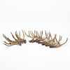 GROUP OF FOURTEEN PIECES, FAUX STAG HORNS