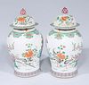 Pair of Chinese Eneamled Porcelain Vases