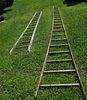 Lot of Two antique Wooden Orchard Ladders