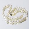 Lady's Single Strand 8.5mm White Pearl Necklace