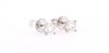 Brand New Diamond 14K White Gold Stud Earrings