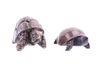 South African Steatite Tortoise & Turtle Pair