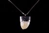 Elk Ivory Tooth & Silver Pendant Necklace