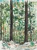 Philip Campbell Curtis  Untitled Forest Landscape