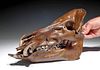Rare Fossilized European Ice Age Wild Boar Skull